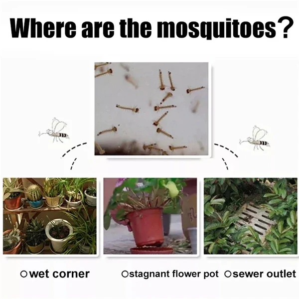 2-in-1 Solar LED Garden Light & Mosquito Zapper – UV Insect Killer for Outdoor Use