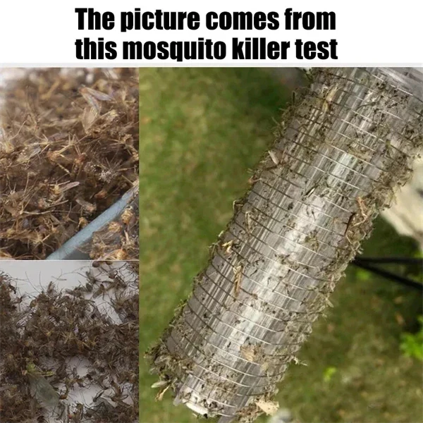 2-in-1 Solar LED Garden Light & Mosquito Zapper – UV Insect Killer for Outdoor Use