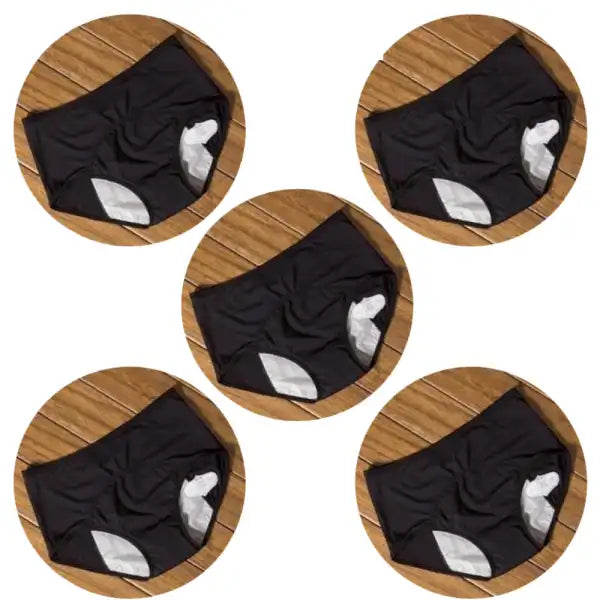 5 pcs Ultra-Absorbent Leak Proof Panties Incontinence Underwear