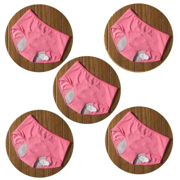 5 pcs Ultra-Absorbent Leak Proof Panties Incontinence Underwear
