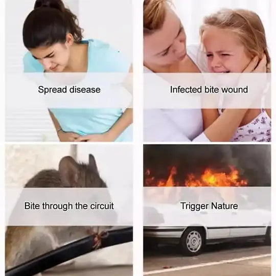 Herbal Extract Rat and Insect Repellent Balls