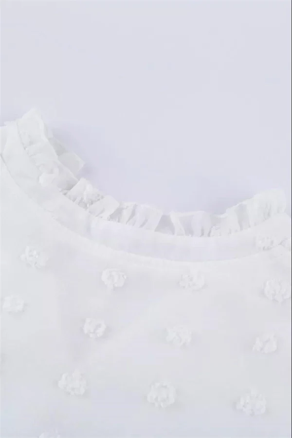 Lace V-neck Chiffon Fur Ball With Lining Long Sleeve Blouse