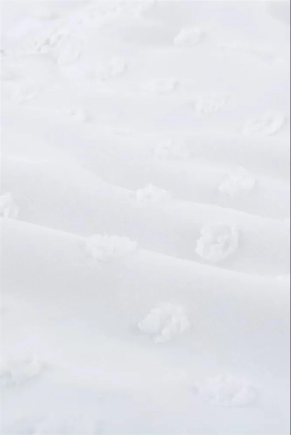 Lace V-neck Chiffon Fur Ball With Lining Long Sleeve Blouse