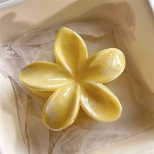 Large Claw Clip for Women – Matte Shark Hair Clip for Thick Hair