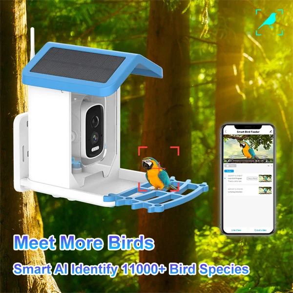 Solar Smart Bird Feeder with HD Camera - Smart Al Identify 11000+ Bird Species