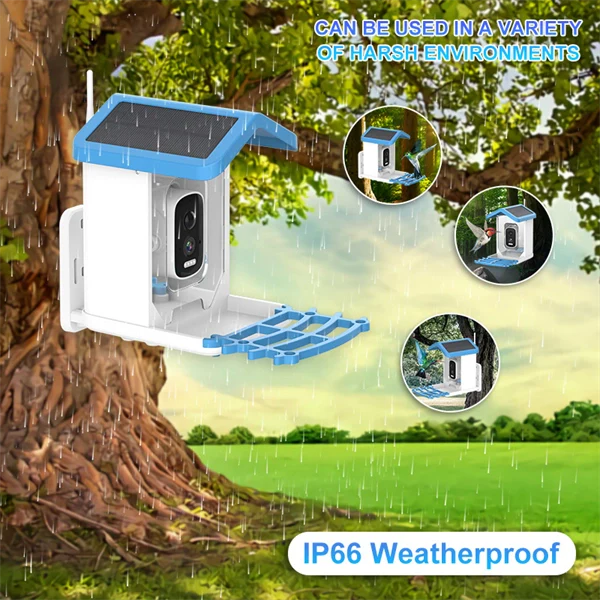Solar Smart Bird Feeder with HD Camera - Smart Al Identify 11000+ Bird Species