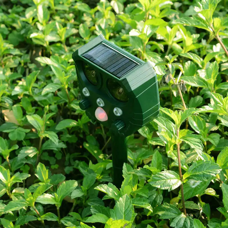 Solar Ultrasonic Animal & Pet Repeller Motion Sensor Repels Birds, Snakes, Raccoons, Skunks, Deer, Cats, Dogs, Rats