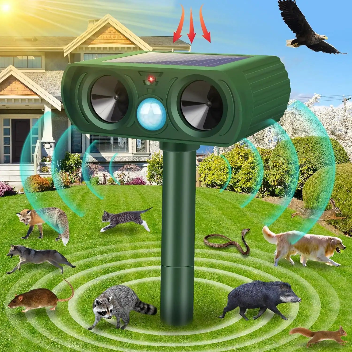Solar Ultrasonic Coyote/Raccoon/Skunk/Snake & Rodent Repeller - Weatherproof