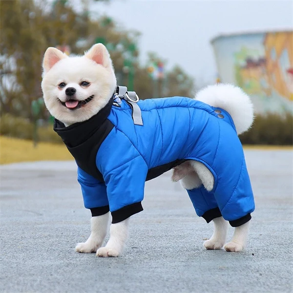 Waterproof Winter Dog Jacket – Cozy & Warm for Small & Medium Dogs