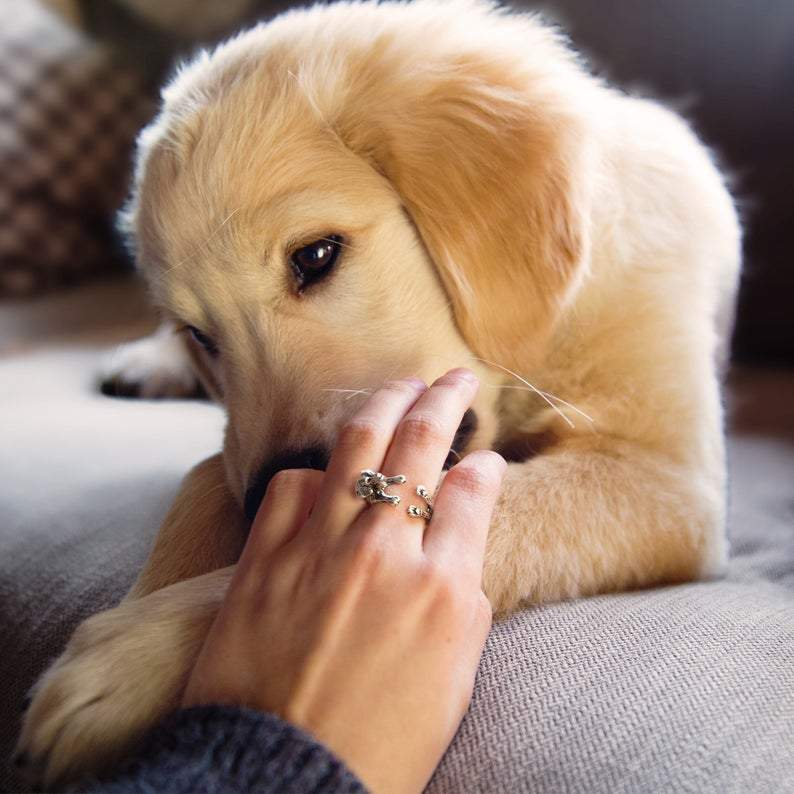 Dog Adjustable Ring