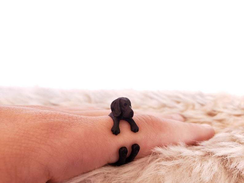 Dog Adjustable Ring